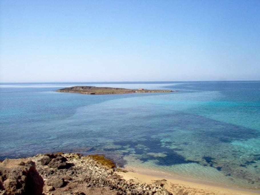 App Girasole 1A 300 Metri Dal Mare In Salento Διαμέρισμα Torre San Giovanni Ugento Εξωτερικό φωτογραφία